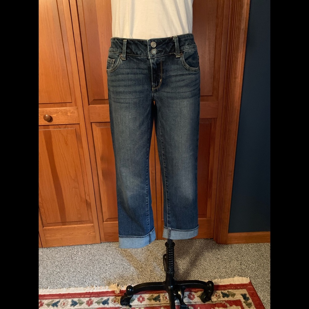 American Eagle Cropped Artist Jeans
